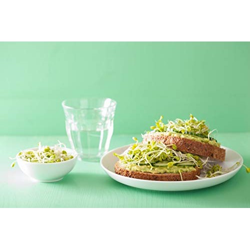 Radish Seeds for Sprouting, 1 Pound – Non-GMO Verified, Edible S...