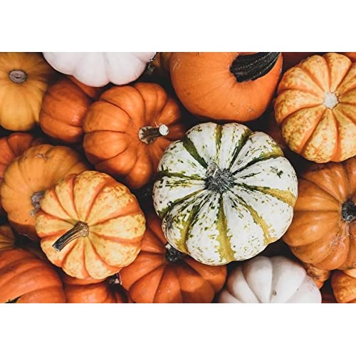 Raw Pepitas, 2 Pounds – Non-GMO Verified, Pumpkin Seed Kernels, ...