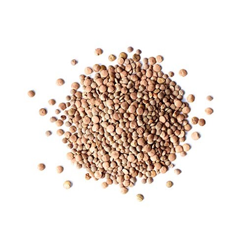 Red Lentils Whole, 2.5 Pounds - Kosher, Raw, Vegan, Sproutable,