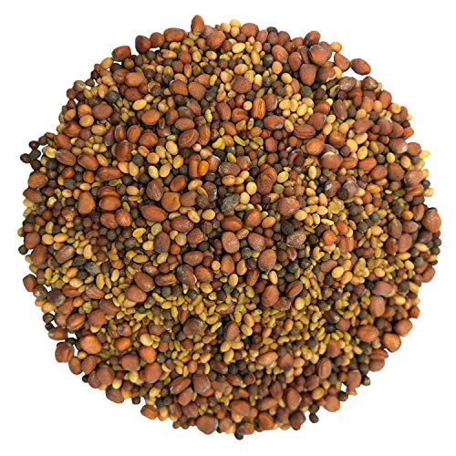 Salad Mix of Sprouting Seeds, 3 Pounds - Broccoli, Clover, Radis...