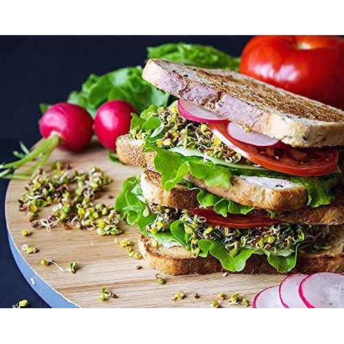 Salad Mix of Sprouting Seeds, 3 Pounds - Broccoli, Clover, Radis...