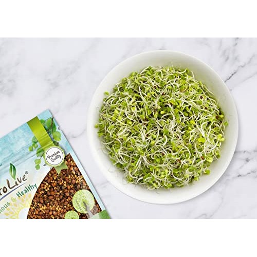 Salad Mix of Sprouting Seeds, 3 Pounds - Broccoli, Clover, Radis...