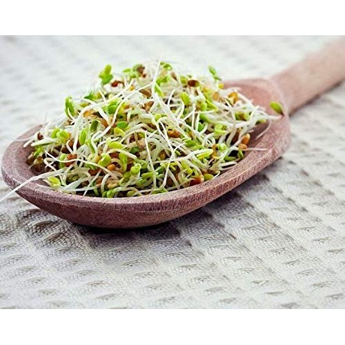 Spicy Mix of Sprouting Seeds, 2.5 Pounds - Broccoli, Radish, Alf...
