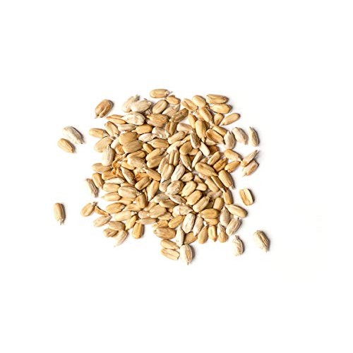 Sunflower Seeds, 8 Ounces - Raw, Kernels, No Shell, Kosher, Bulk