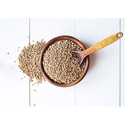 Wheat Berries, 2.5 Pounds - Sprouting For Wheatgrass, Kosher, Ra