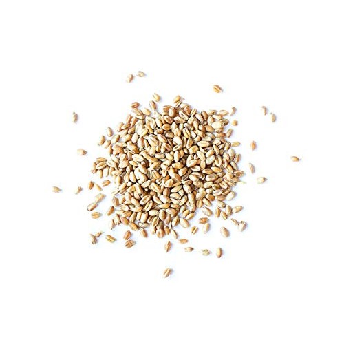 Wheat Berries, 5 Pounds - Sprouting For Wheatgrass, Kosher, Raw,