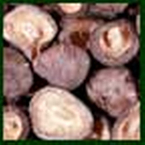 Mushroom Petite Shiitake - 5 Lb Unit