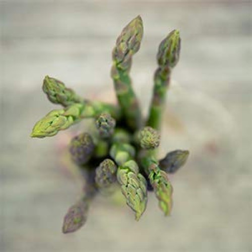 Fosters Pickled Asparagus Jalapeño, 32Oz. Pack Of 3