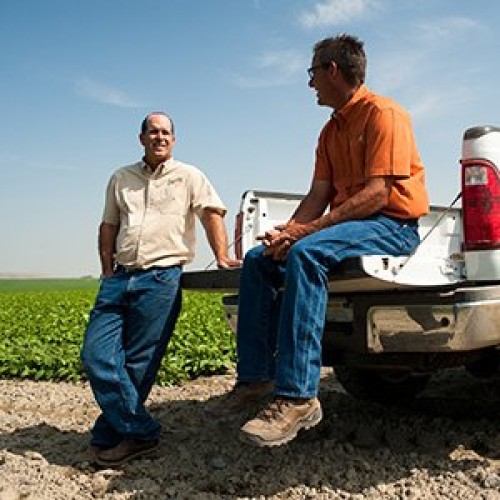 Fosters Pickled Asparagus Jalapeño, 32Oz. Pack Of 3