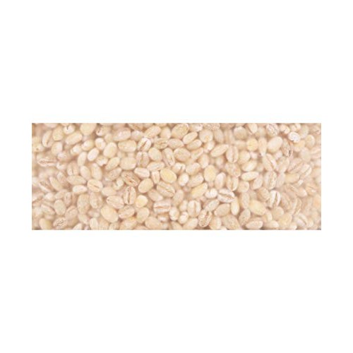 Four Seasons Harvest Hulled Barley 통보리 - 16Oz