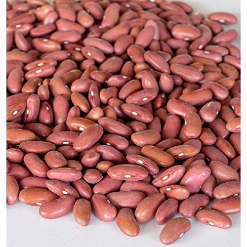 Four Seasons Harvest Light Red Kidney Beans Triple Cleaned - 16Oz
