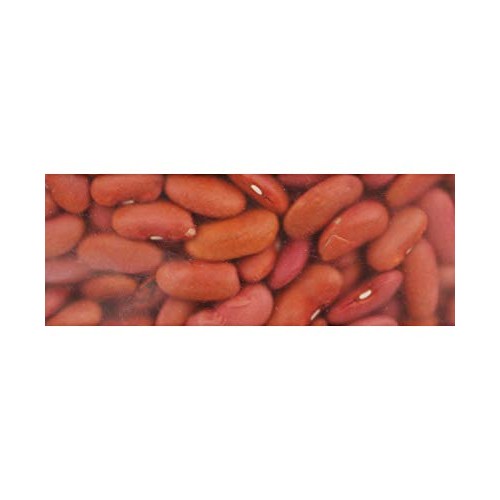 Four Seasons Harvest Light Red Kidney Beans Triple Cleaned - 16Oz
