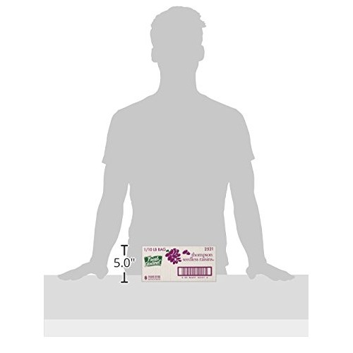 Fresh Gourmet Thompson Seedless Raisins, 10 Pound