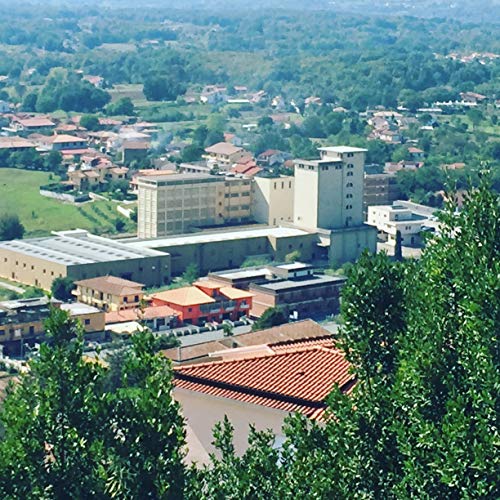 Bulk 55 Lbs | All Purpose | All Natural00 Flour For Pizza, Pas