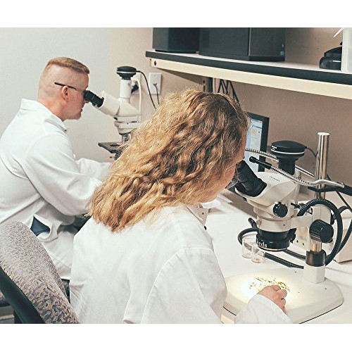 Frontier Co-Op Organic White Onion Powder, 2 1 Pound Bulk Bags