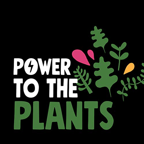 Frooze Balls Plant Protein Powered Fruit &Amp; Nut Double Filled Ene