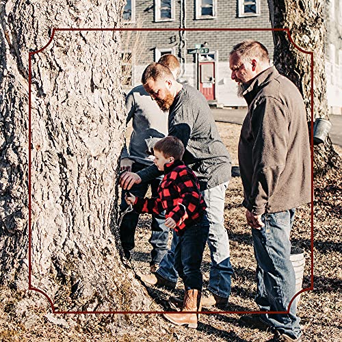 Frost Ridge Maple Farm, Organic Maple Syrup, Grade A, Gallon 12