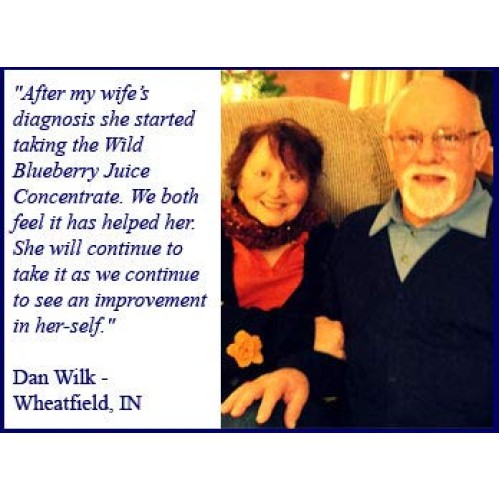 100% Pure Wild Blueberry Juice Concentrate By Fruitfast - Brownw