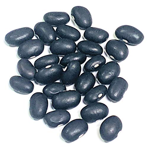 Fots - Bulk Black Beans Dry 16 Pounds Usa Grown, 100% Natural,