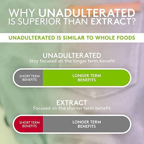 Reishi Mushroom Black Coffee by fusion foods | Stay Focus Longe...