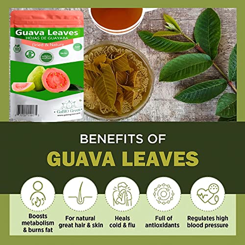 Dried whole Guava leaves, 35 to 60 leaves Skin Care, Hair Re-Gro...