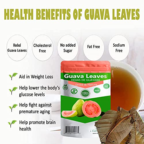 Dried whole Guava leaves, 35 to 60 leaves Skin Care, Hair Re-Gro...