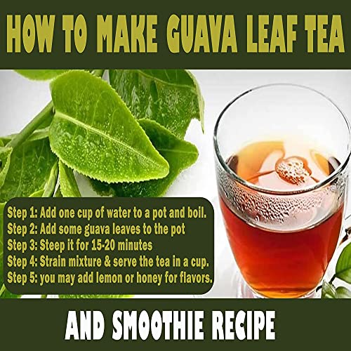 Dried whole Guava leaves, 35 to 60 leaves Skin Care, Hair Re-Gro...