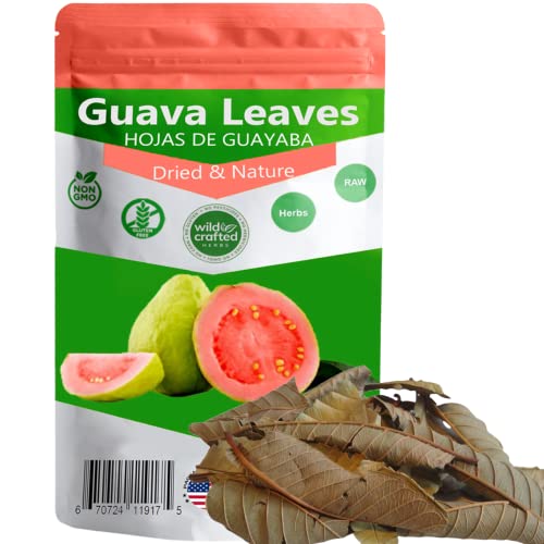 Dried whole Guava leaves, 35 to 60 leaves Skin Care, Hair Re-Gro...