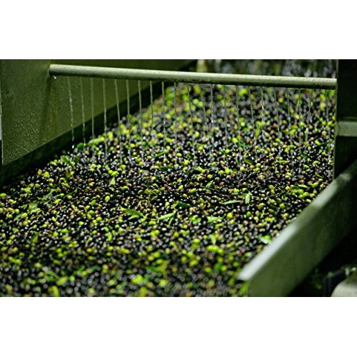 Gaea Olive Snack Pitted Kalamata Olives 2.3 Oz Pack Of 8