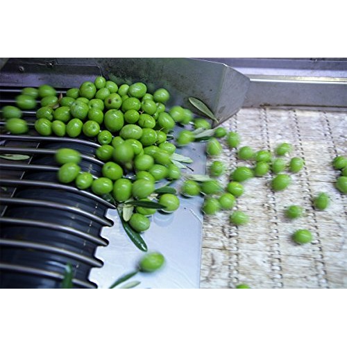 Gaea Snack Pack Pitted Green Olives With Chili &Amp; Black Pepper -