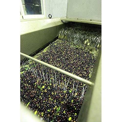 Gaea Snack Pack Pitted Green Olives With Chili &Amp; Black Pepper -