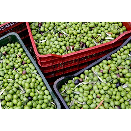 Gaea Snack Pack Pitted Kalamata Olives - 5.3 Oz Pack Of 8 …