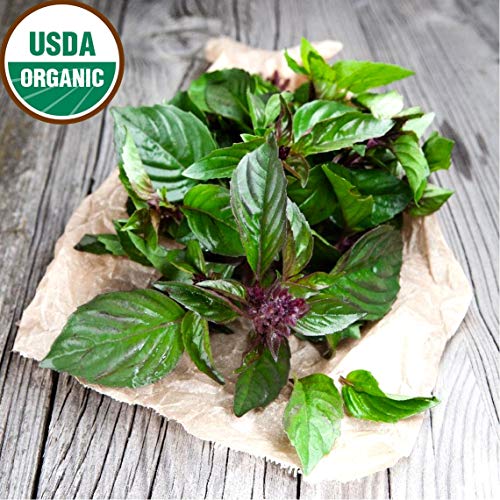 Gaeas Blessing Seeds - Organic Basil Collection 6 Individual N