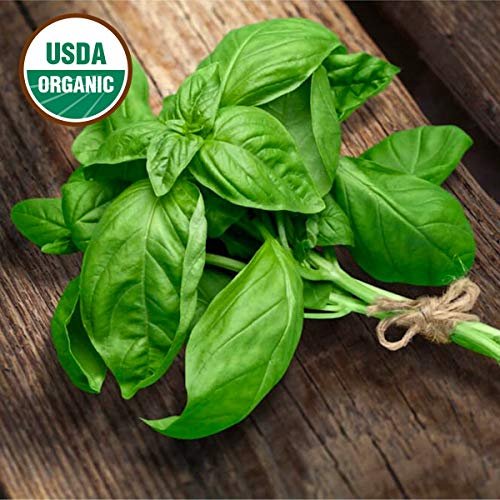 Gaeas Blessing Seeds - Organic Basil Collection 6 Individual N