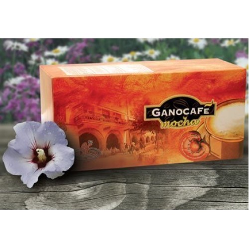 6 Boxes - Gano Cafe Mocha Coffee With Ganoderma Healthy Coffee