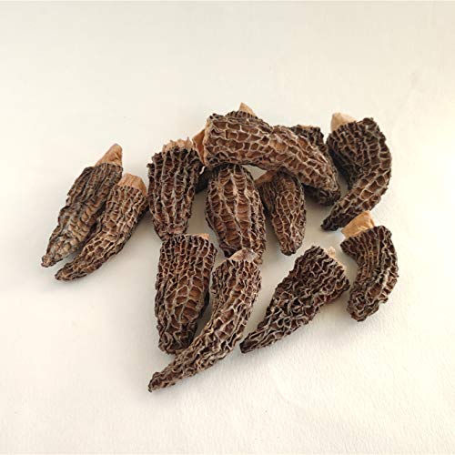 Dried Morel Mushrooms，Hymalaya Gourmet Morchella Mushrooms 2 Ozg