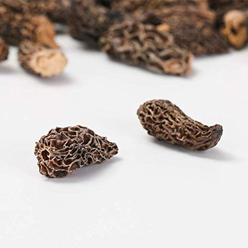 Tibet Wild Morel Mushrooms Of China Premium Dried Morels Mushroo