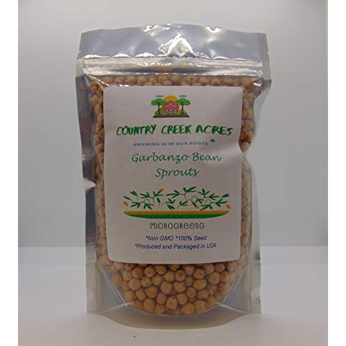 Garbanzo Bean Microgreen 8 Ounces Of Garbanzo Bean Seeds For Spr