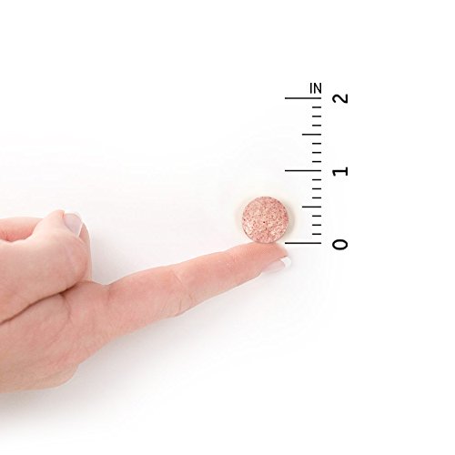 Garden Of Life Dr. Formulated Probiotics Organic Kids+ Plus Vita