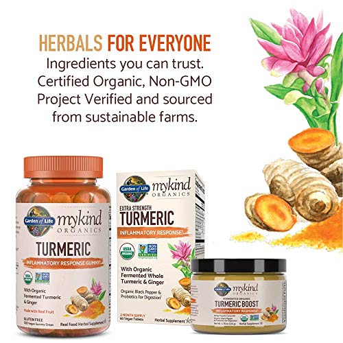 Garden Of Life Mykind Organics Extra Strength Turmeric Inflammat