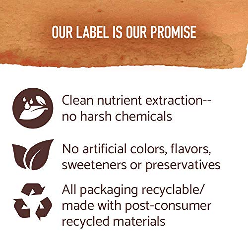 Garden Of Life Mykind Organics Extra Strength Turmeric Inflammat