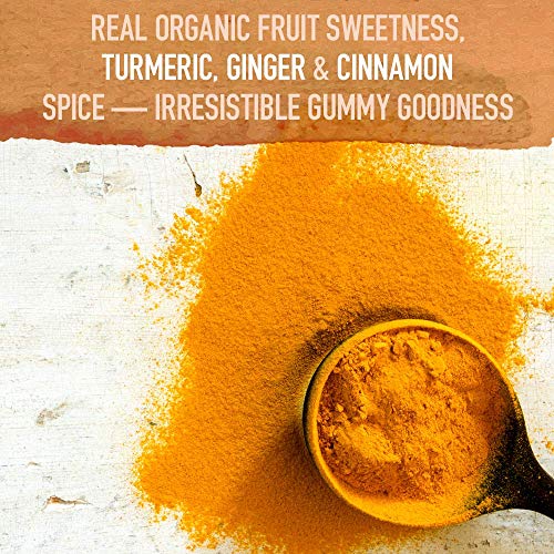 Garden of Life Mykind Organics Turmeric Inflammatory Response Gu...