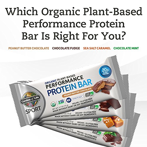Garden Of Life Organic Sport Protein Bar, Vegan, Chocolate Fudge