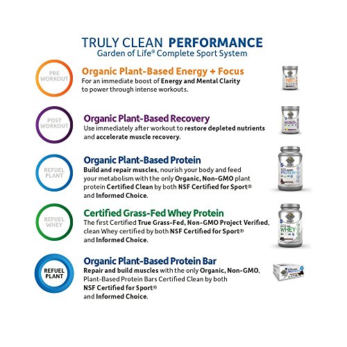 Garden Of Life Organic Sport Protein Bar, Vegan, Chocolate Fudge