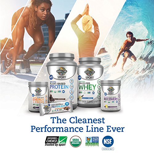 Garden Of Life Organic Sport Protein Bar, Vegan, Chocolate Fudge