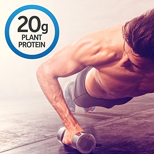 Garden Of Life Organic Sport Protein Bar, Vegan, Chocolate Fudge