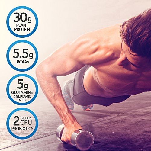 Garden of Life Organic Vegan Sport Protein Powder, Chocolate - P...