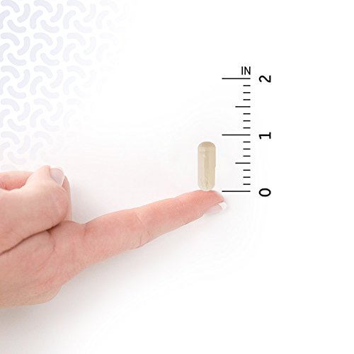 Garden of Life Probiotics for Men - Dr Formulated 50 Billion CFU...