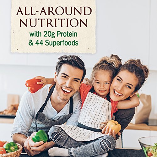 Garden of Life Raw Organic Meal Replacement Powder - Chocolate, ...