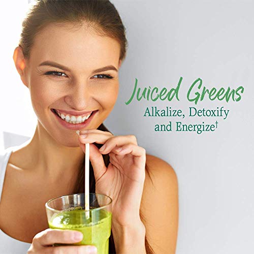 Garden Of Life Raw Organic Perfect Food Green Superfood Juiced G Garden Of Life Raw Organic Perfect Food Green Superfood Juiced G